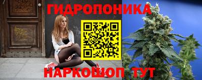 дмт Бийск