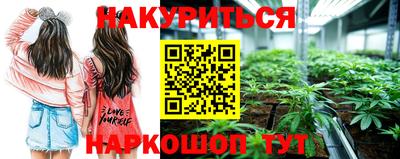 мдпв Гудермес