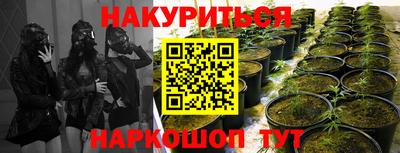 a pvp Берёзовский