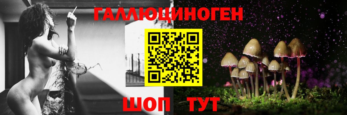 Псилоцибиновые грибы Psilocybe  Вход с VPN  Карачаевск 